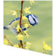 Napkins - Bluetit