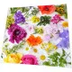 Napkins - Bloom Canvas