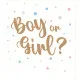 Servietten - Boy or Girl