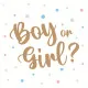 Servietten - Boy or Girl