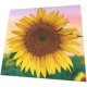 Servietten - Eine Sonnenblume