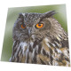 Napkins - Woodland owl
