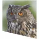 Napkins - Woodland owl