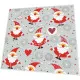Napkins - Funny Santas