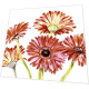 Napkins - Gerbera art