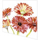 Napkins - Gerbera art