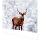 Servietten - Hirsch im Winter