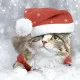 Servietten - Katzen-Weihnachten