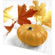 Napkins - Pumpkin Leaf