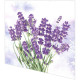 Napkins - Lavender oasis