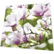 Napkins - Magnolia