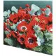 Napkins - Poppy anemone