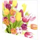 Napkins - Beautiful Tulips
