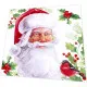 Servietten - Vintage Claus