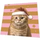 Servietten - Xmas Katze