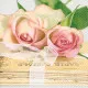 Servietten - Zwei Rosen
