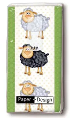 Taschentücher - Schwarzes Schaf