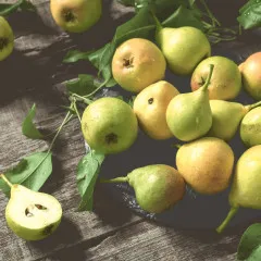 Cocktail napkins - Rustic Pears