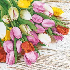 Cocktail napkins - Bunch of tulips