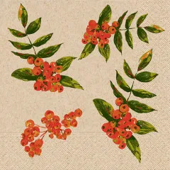 Cocktail napkins - Rowan berry - 100% of recycling Cocktail napkins - Rowan berry - 100% of recycling