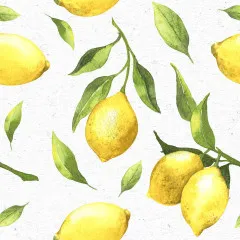 Cocktail napkins - Citrus