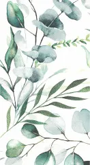 Guest towels - Eucalyptus