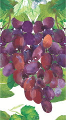 Gästetücher - Weintraube
