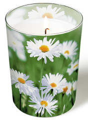 Glaskerze - Viele Gänseblümchen