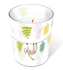 Glaskerze - Faultiere