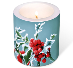 Kerze - Frostige Stechpalme