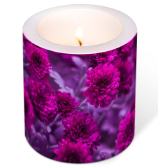 Kerze - Fuchsia Blumen