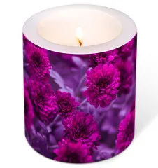 Kerze - Fuchsia Blumen