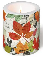Candle - Herbarium