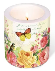 Candle - Portrait of butterfly