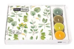 Kombibox - Frische Blätter