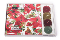 Kombibox - Leuchtender Weihnachtsstern