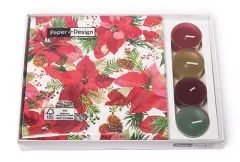 Combibox - Shiny poinsettia Combibox - Shiny poinsettia