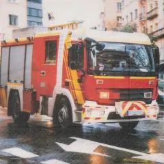 Napkins - Realistic Fire Department