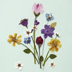 Servietten - Gepresste Blumen