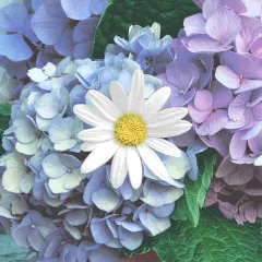 Servietten - Hortensien mit Blume