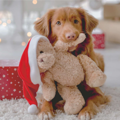 Servietten - Hund und Teddy