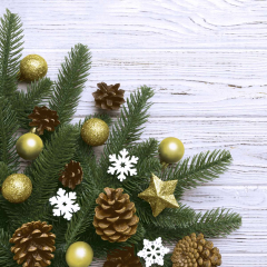 Servietten - Kiefer und Sterne