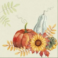 Napkins - Pumpkin Bliss