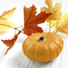 Napkins - Pumpkin Leaf