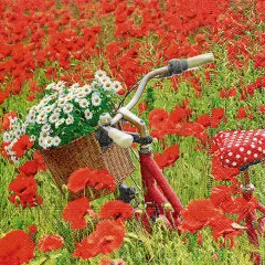 Servietten - Im Mohnfeld