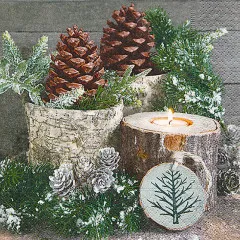 Napkins - Natural composition