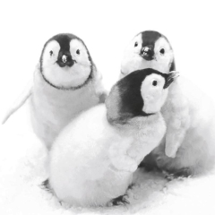 Servietten - Pinguine