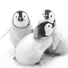 Servietten - Pinguine Servietten - Pinguine