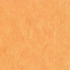 Napkins - Pure orange