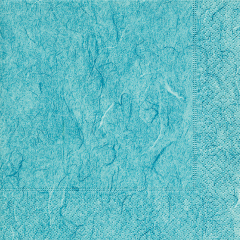 Napkins - Pure petrol